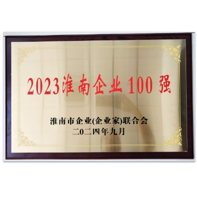2023年淮南市企业100强