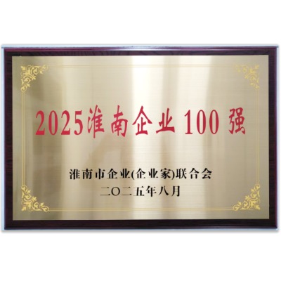 荣获2025年淮南市企业100强荣誉